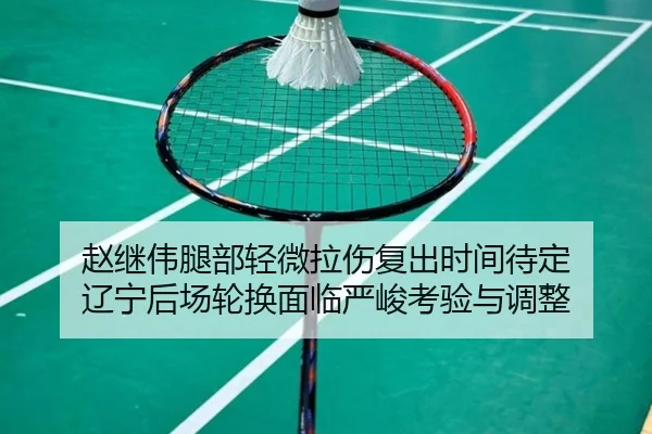 赵继伟腿部轻微拉伤复出时间待定 辽宁后场轮换面临严峻考验与调整